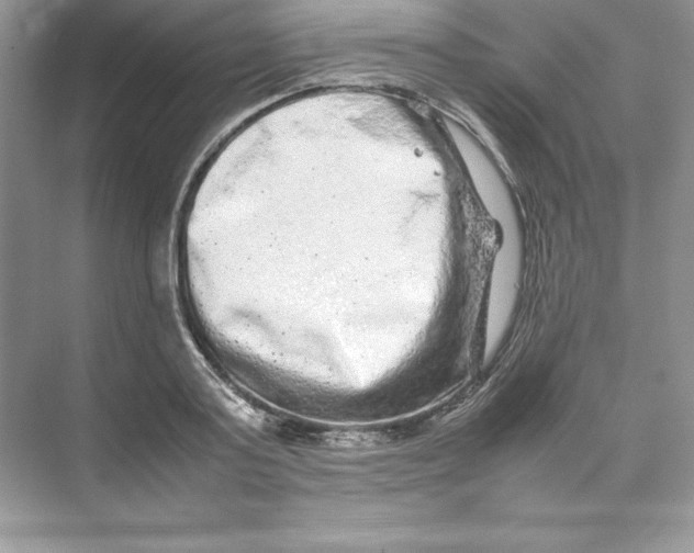 X0000074290795200609222308