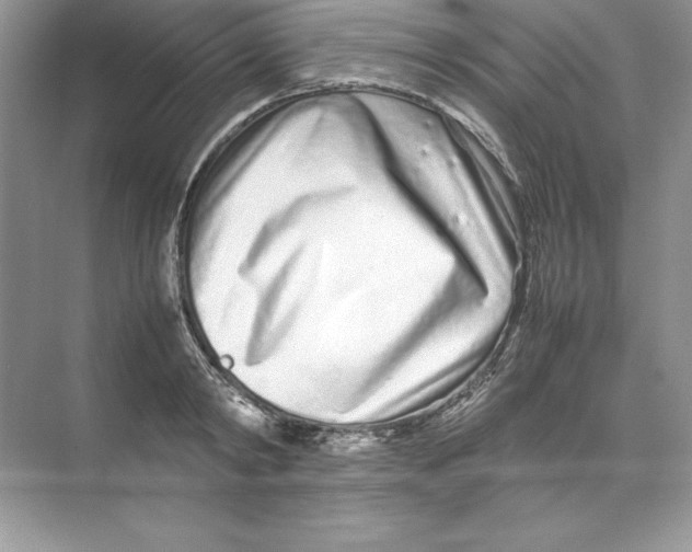 X0000074290798200609222308