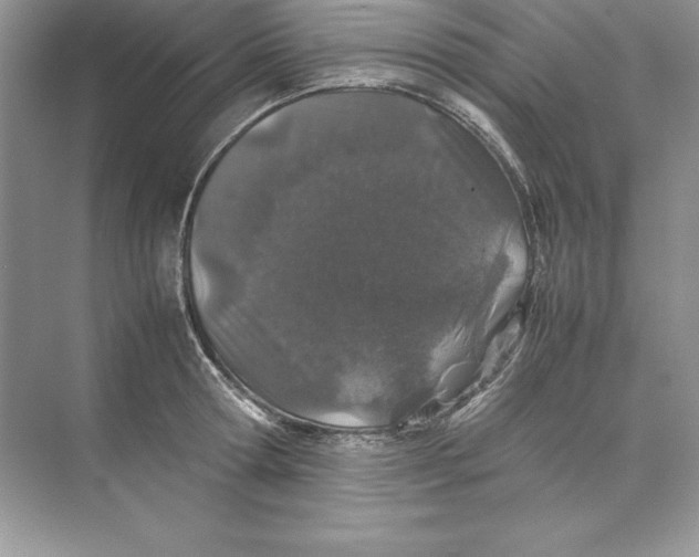 X0000074290802200609222307