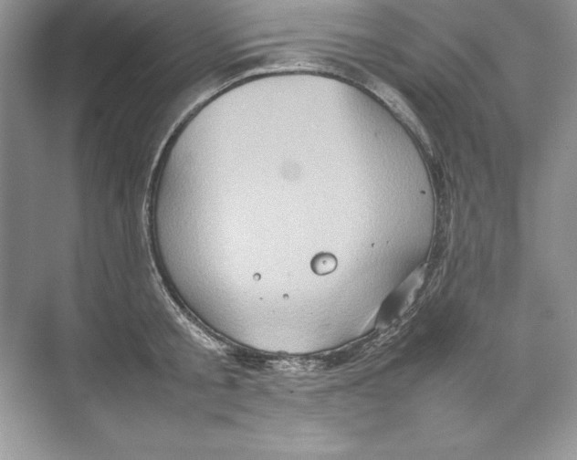 X0000074290805200609222307