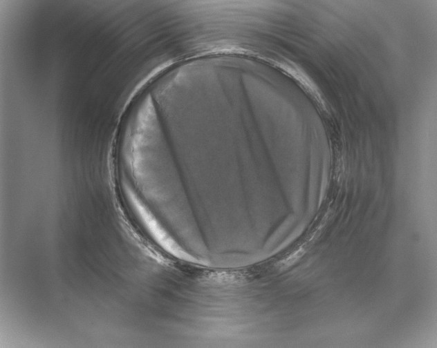 X0000074290806200609222307