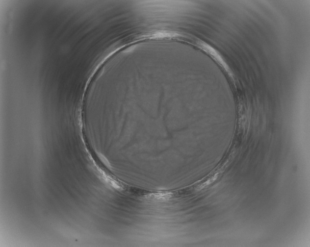 X0000074290810200609222307