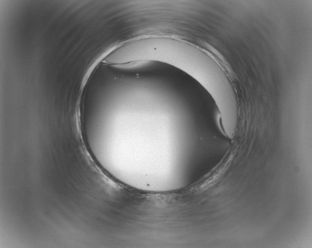 X0000074290812200609222307