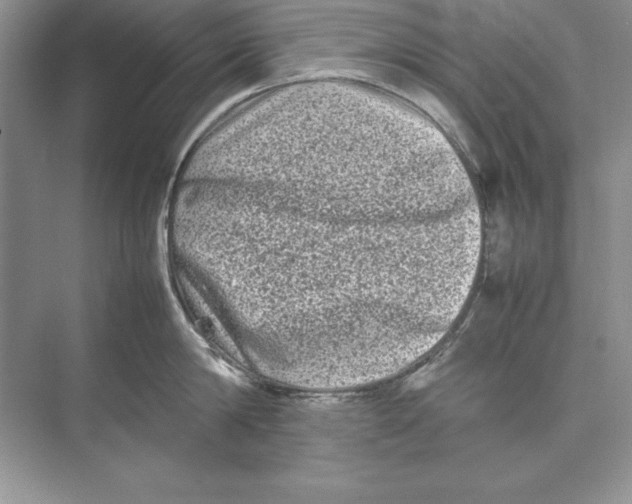 X0000074290814200609222307