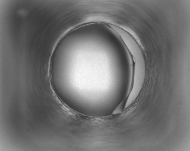 X0000074290815200609222307