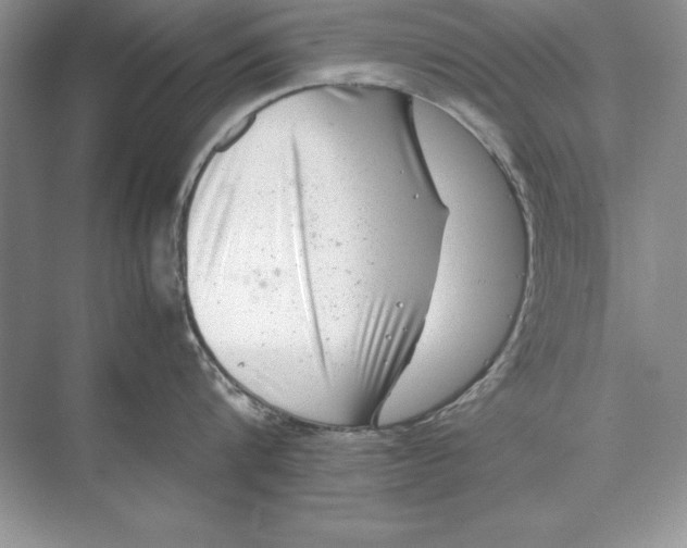 X0000074290816200609222307