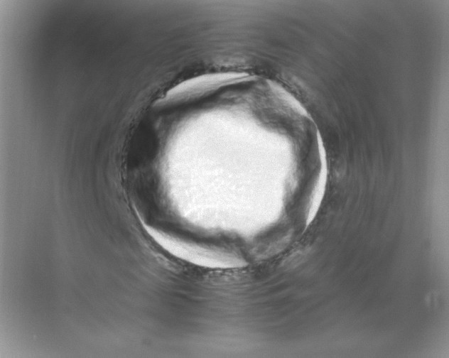 X0000074290817200609222306