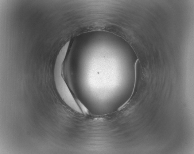 X0000074290818200609222306