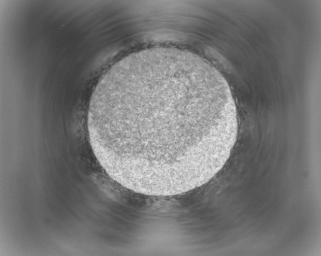 X0000074290824200609222307