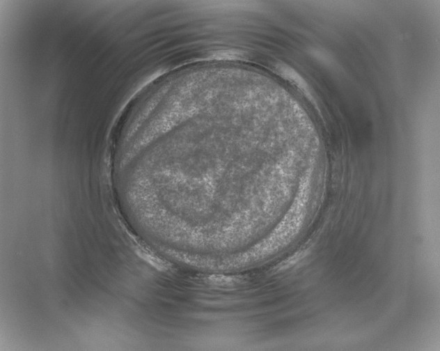 X0000074290827200609222307