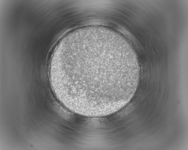 X0000074290828200609222307