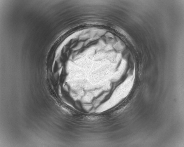 X0000074290829200609222307