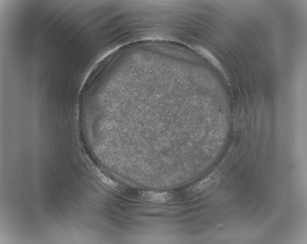 X0000074290831200609222307