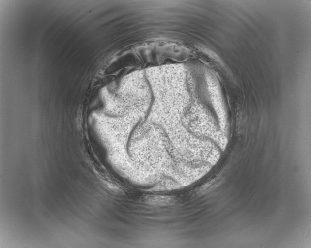 X0000074290833200609222307