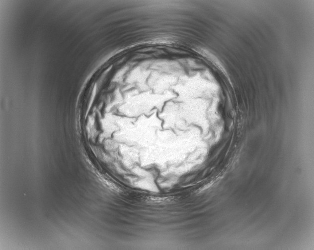 X0000074290835200609222307