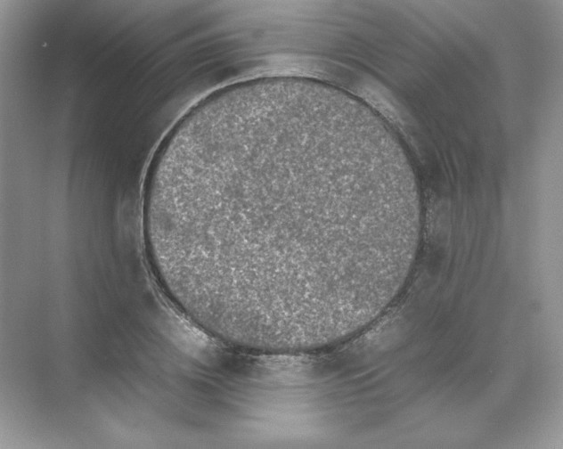 X0000074290836200609222307