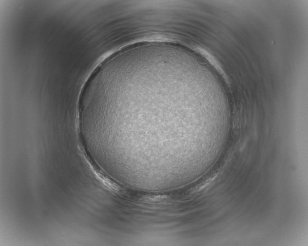 X0000074290837200609222307