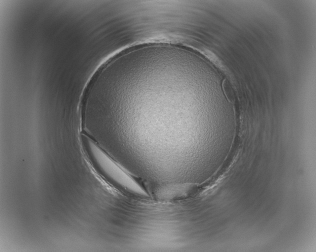 X0000074290838200609222307