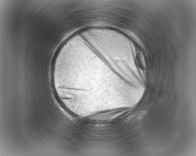 X0000074290839200609222307