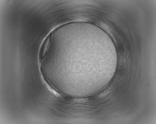 X0000074290843200609222307