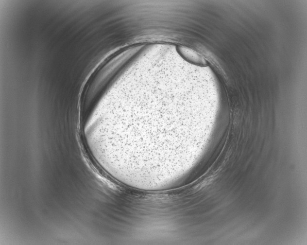 X0000074290844200609222307