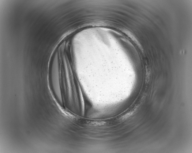 X0000074290845200609222307