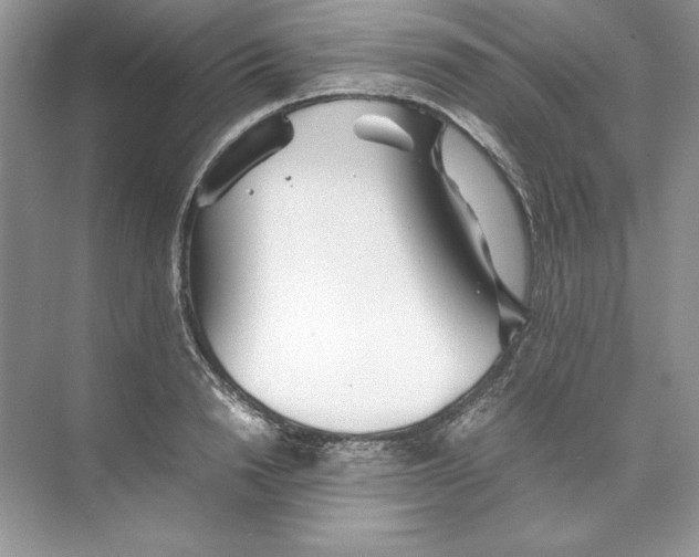 X0000074290846200609222307