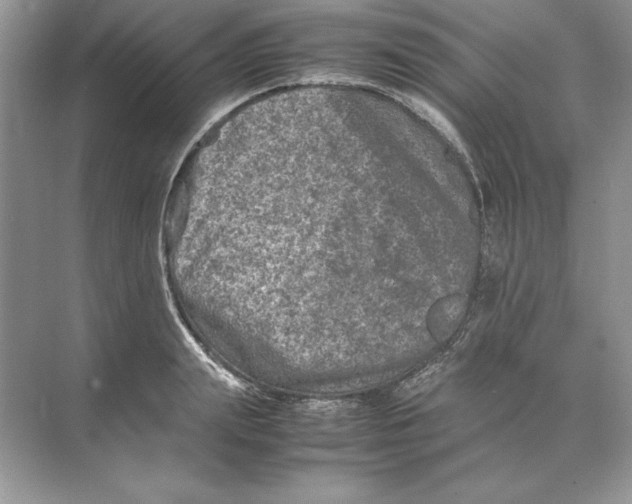 X0000074290847200609222307