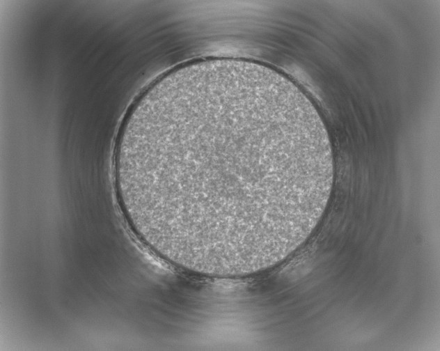 X0000074290848200609222307