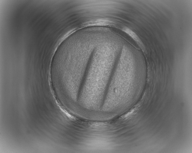 X0000074290850200609222307