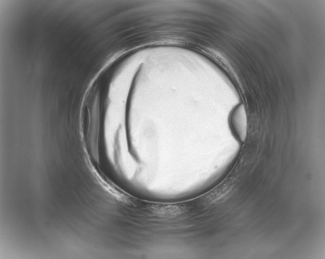 X0000074290851200609222307