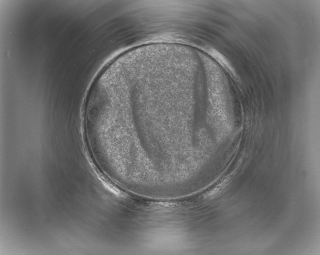 X0000074290854200609222307