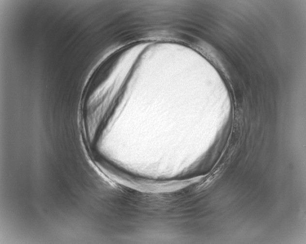 X0000074290855200609222307