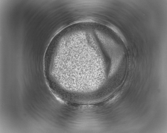 X0000074290858200609222307