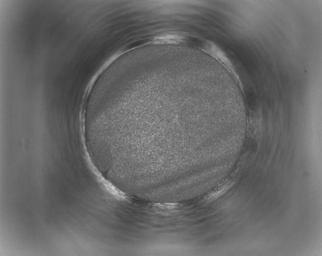 X0000074290859200609222307