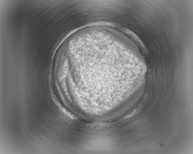 X0000074290860200609222307