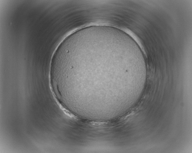 X0000074290861200609222307