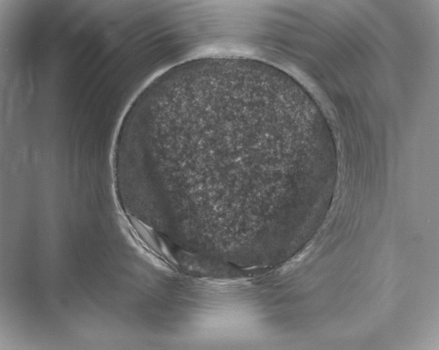 X0000074290864200609222307