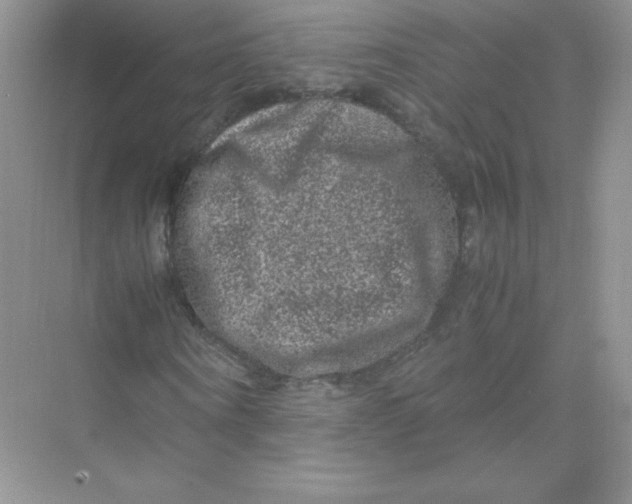 X0000074290866200609222306