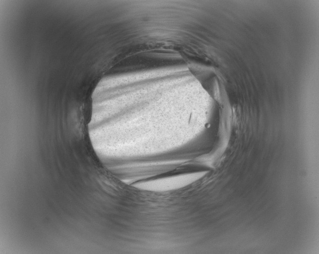 X0000074290868200609222306