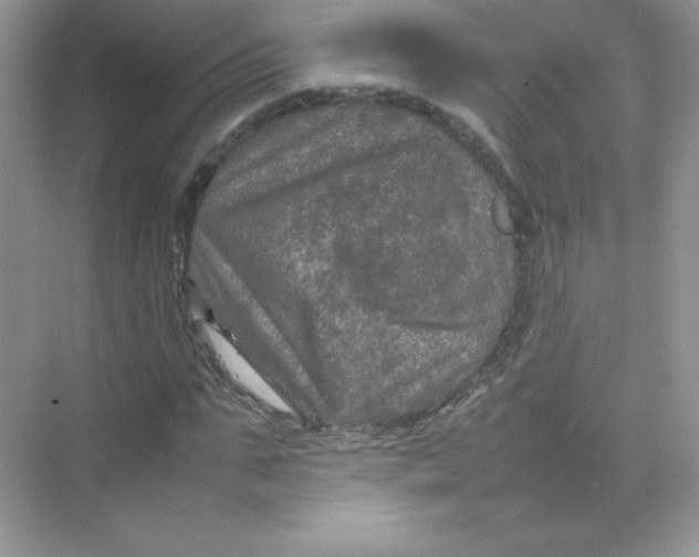 X0000074290871200609222306