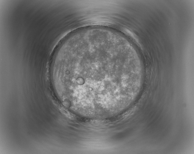 X0000074290875200609222306