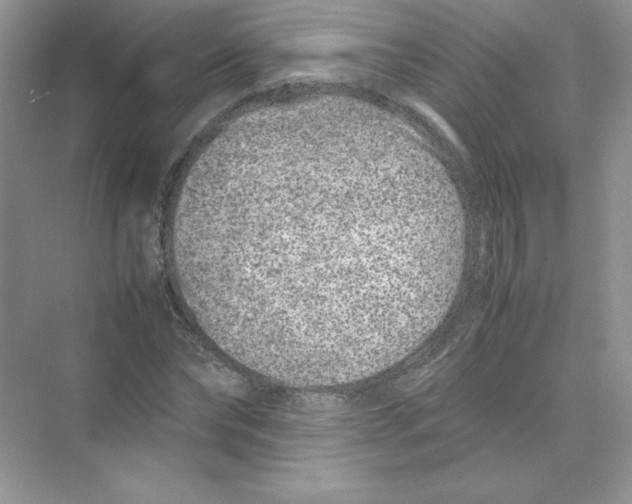 X0000074290878200609222306