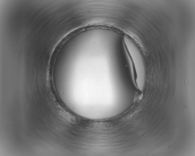 X0000074290880200609222306