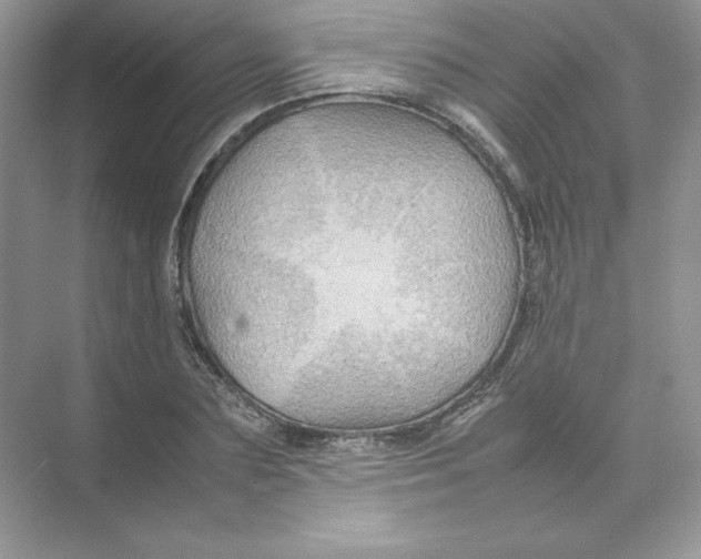 X0000074290883200609222306