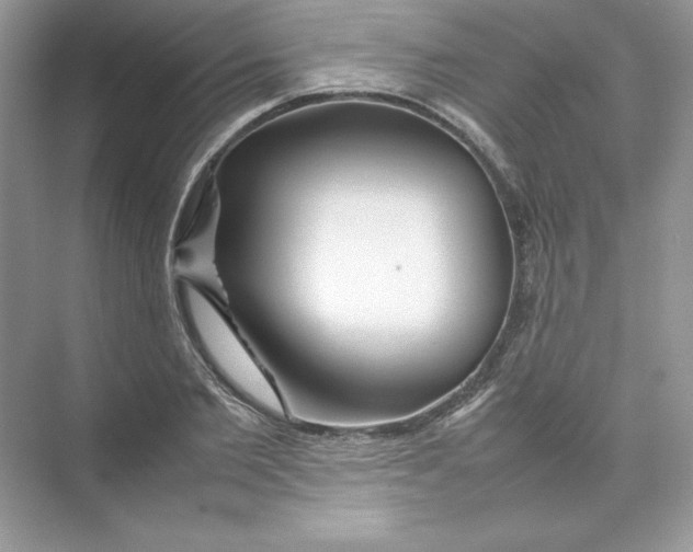 X0000074290885200609222306