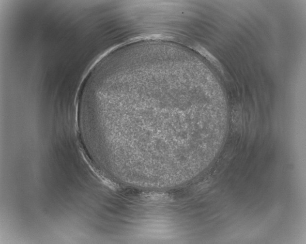 X0000074290886200609222306