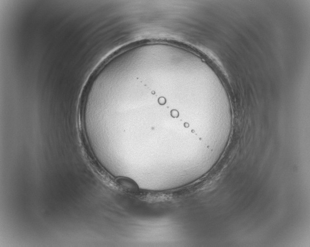 X0000074290887200609222306