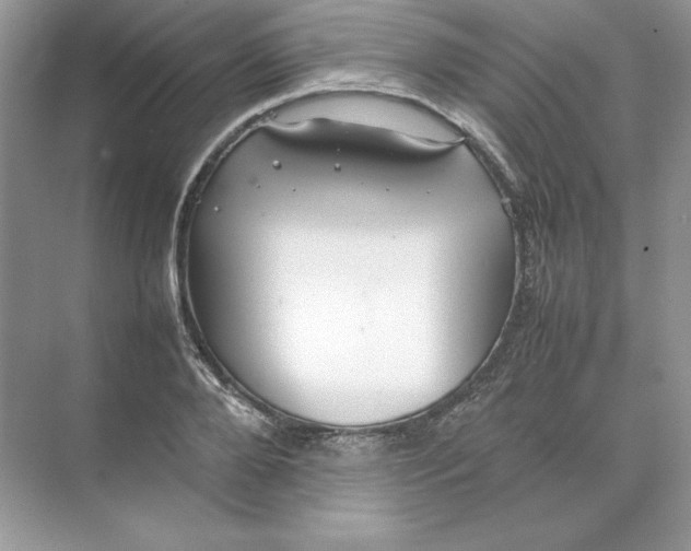 X0000074290888200609222306