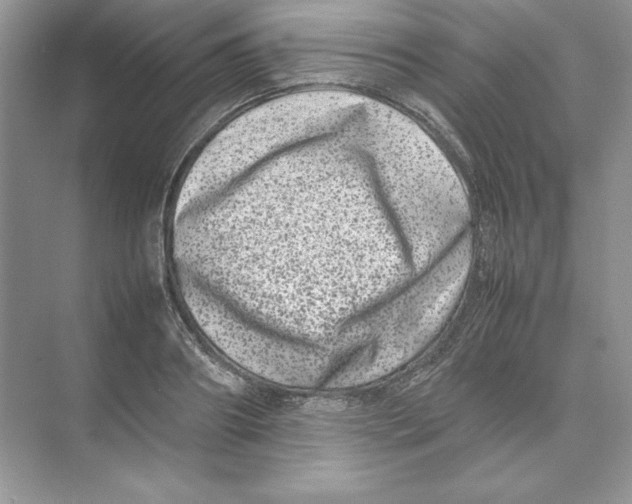 X0000074290890200609222306